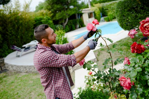 Professional hedge cutting work in a Kingscross garden setting