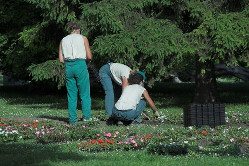 Supplier audit checklist for arboricultural services